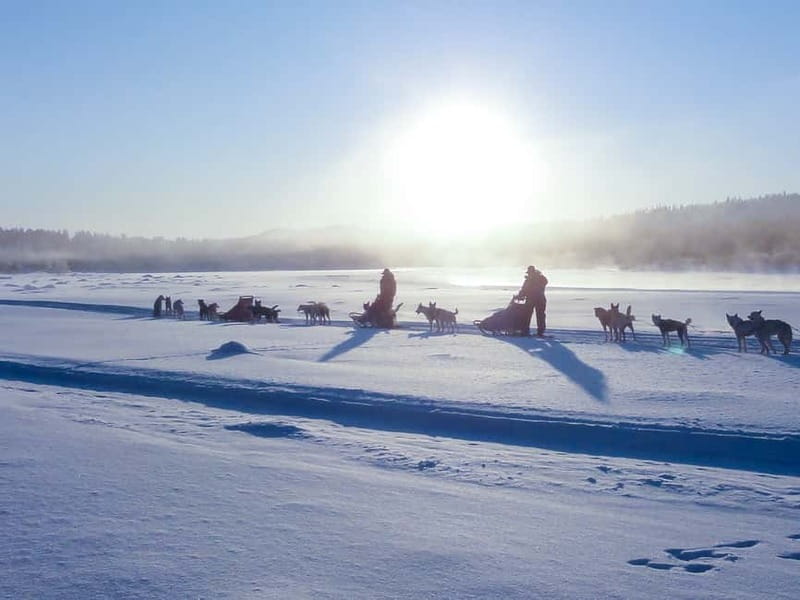 Kiruna: Self-drive Husky Morning Tour - Kiruna morning sledding, with daylight doing the work