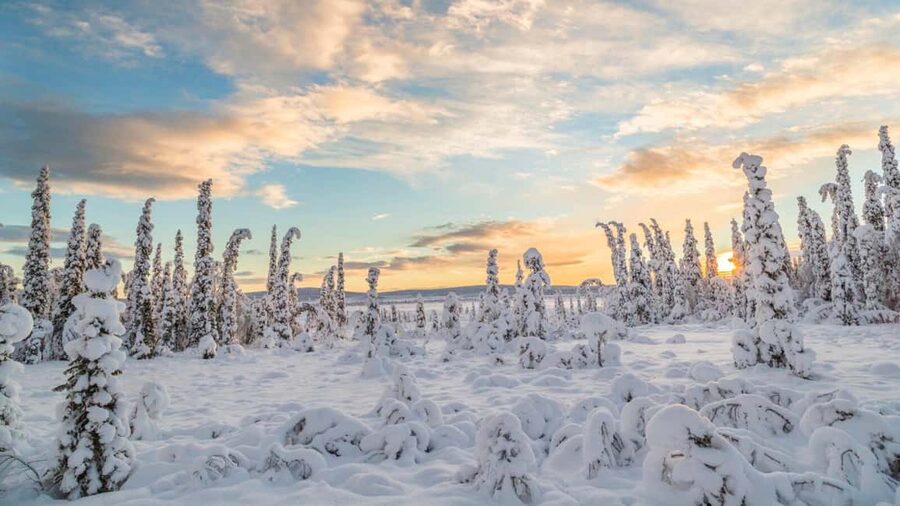 Kiruna: Small-Group Daytime Snowmobile Adventure in Lapland - Driving rules in plain English: Category B vs. sled ride