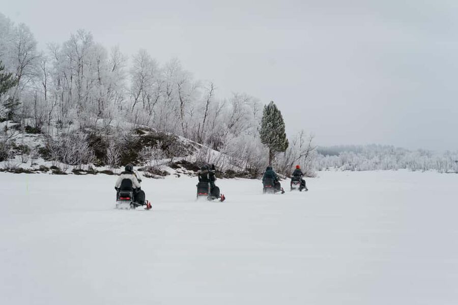 Kiruna: Small Group Snowmobile with Snacks - Key highlights that make this ride worth it