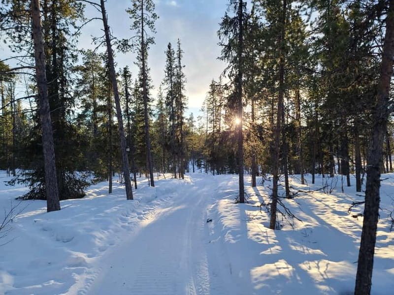 Kiruna: Snowshoe Trek with Warm Beverage and Sandwich - Kiruna Snowshoe Trek: What You Actually Do for 3 Hours