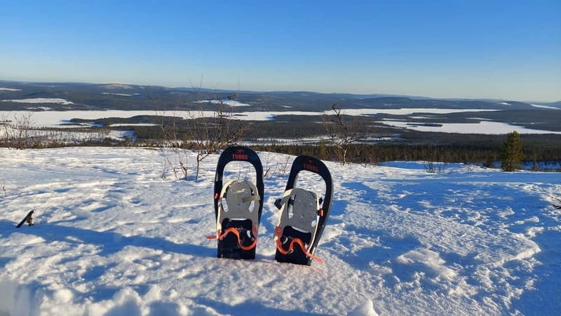 Kiruna: Snowshoe Trek with Warm Beverage and Sandwich - Animal Traces You Can Actually Learn to Spot
