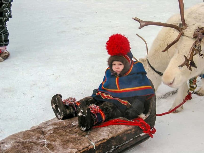 Lapland: A day on the trail of the Sami indigenous people - From Sorsele to Ammarnäs, a river-shaped day