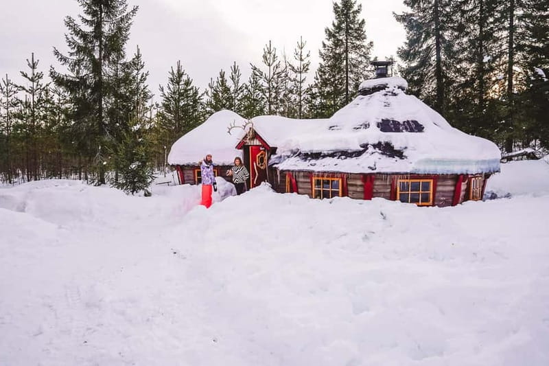 Luleå: Drive your own Husky team, 10km - Key things to know before you go