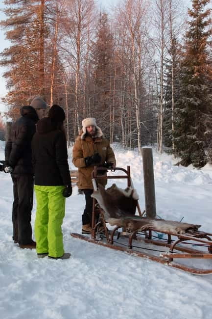 Luleå: Drive your own Husky team, 10km - Starting at the Luleå Adventure cottage: gear check and dog introductions