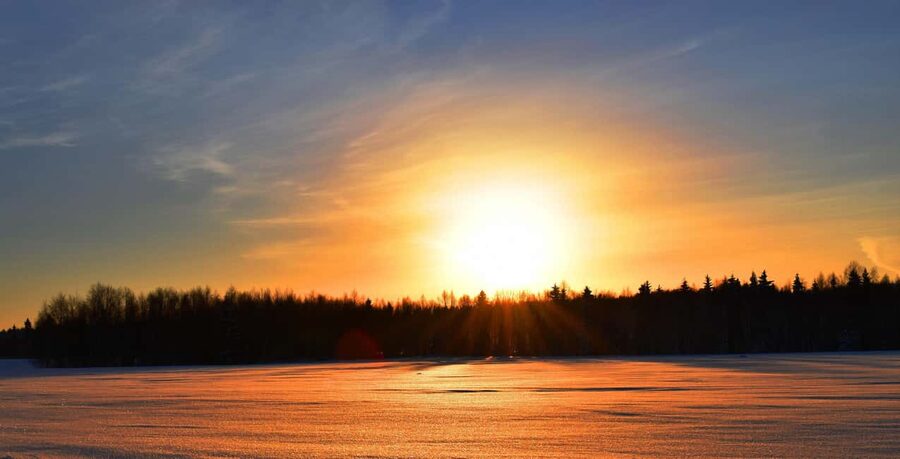 Lulea: Drive your own husky team 20km - 20 km on Snowmobile Trails Through Forest and Fields