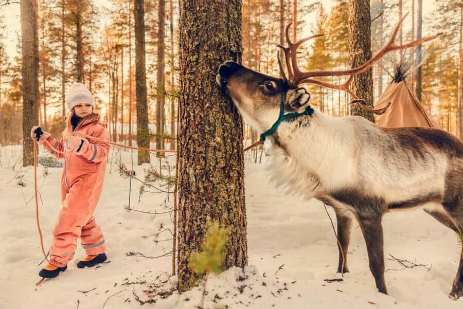 Luleå: Encounter with Reindeer Experience - Before You Go: What to Pack for a Fire, Smoke, and Winter Visit