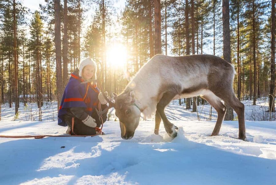Luleå: Encounter with Reindeer Experience - First Camp Check-In: Start Where the Tour Actually Happens