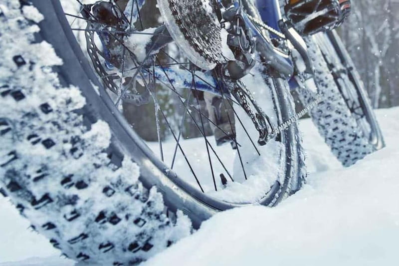 Luleå: Fatbike Rental, explore Luleå like a Local! - Price and value for a 7-hour rental