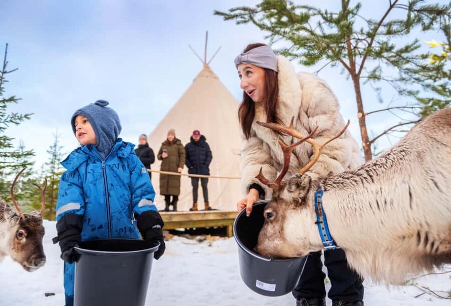 Luleå: Meet the Reindeer, Sámi Flavors & Stories by the Fire - Key things to know before you go