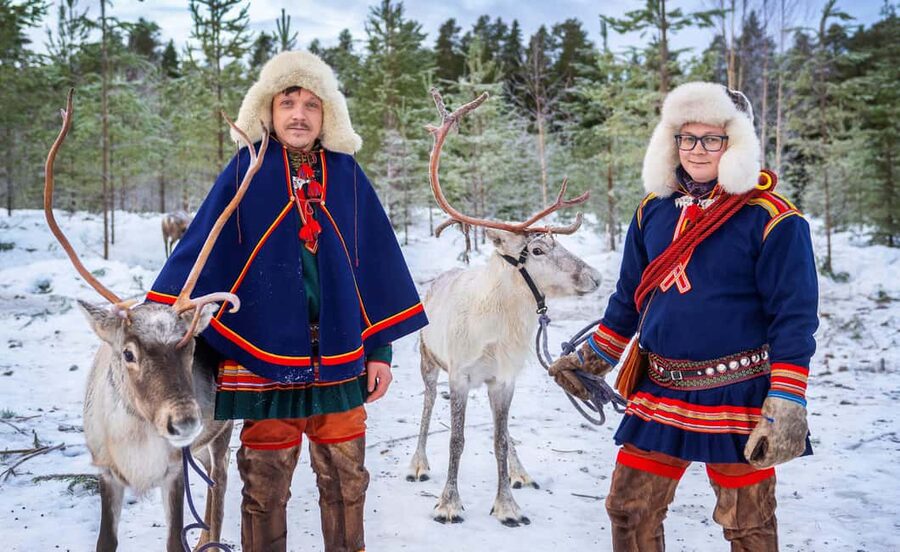 Luleå: Meet the Reindeer, Sámi Flavors & Stories by the Fire - A small, personal reindeer encounter near Luleå