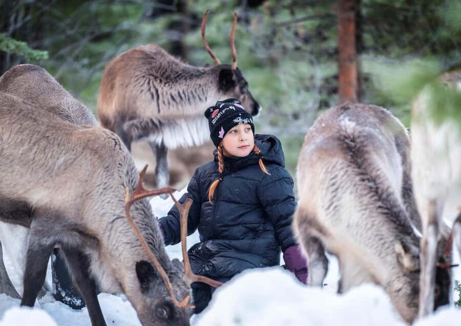 Luleå: Meet the Reindeer, Sámi Flavors & Stories by the Fire - Lasso throwing: fun practice, not just posing