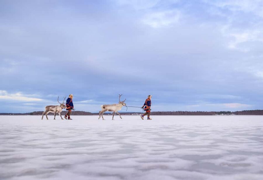 Luleå: Meet the Reindeer, Sámi Flavors & Stories by the Fire - Pickup, timing, and how to stay comfortable in winter