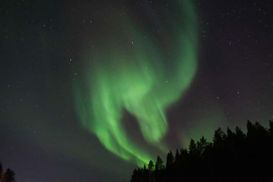 Lulea: Northern Lights Hunt by Car with Transfer - Meeting at Kulturens Hus, then heading out from Luleå
