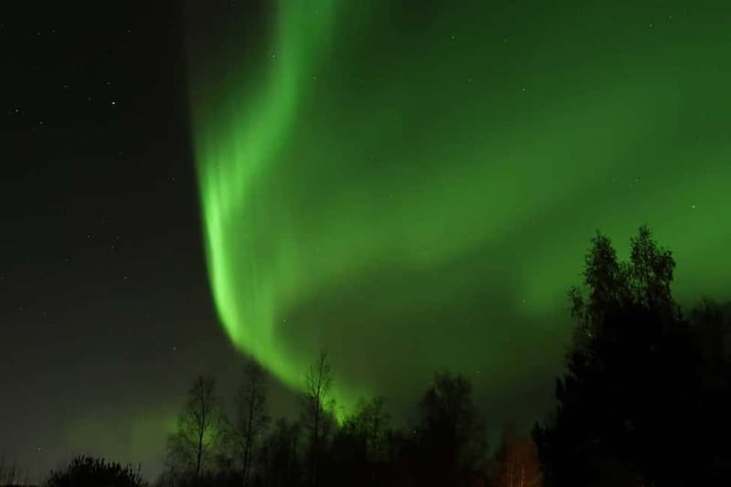 Luleå: Northern Lights Snowshoeing Tour - Luleå Northern Lights, explained through snow and silence