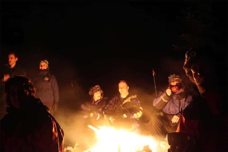 Luleå: Northern Lights Snowshoeing Tour - The guided snowshoe walk: crunch, headlamps, and changing shapes