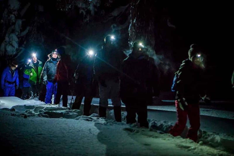 Luleå: Northern Lights Snowshoeing Tour - Who should book this snowshoe aurora tour in Luleå?