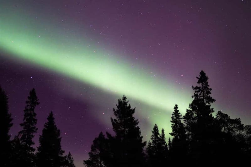 Luleå: Northern Lights Snowshoeing Tour - Pickup and timing: how the tour gets you to real winter conditions