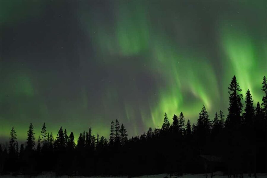 Luleå: Northern Lights Tour by Car with Swedish Treats - Key things to love about the Luleå aurora by car