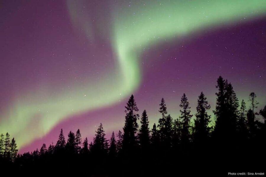 Luleå: Northern Lights Tour by Car with Swedish Treats - Aurora Stops: How Your Guide Chooses Where to Look