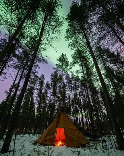 Luleå: Sami Culture, Reindeer, and Northern Lights Tour - Key things to know before you go