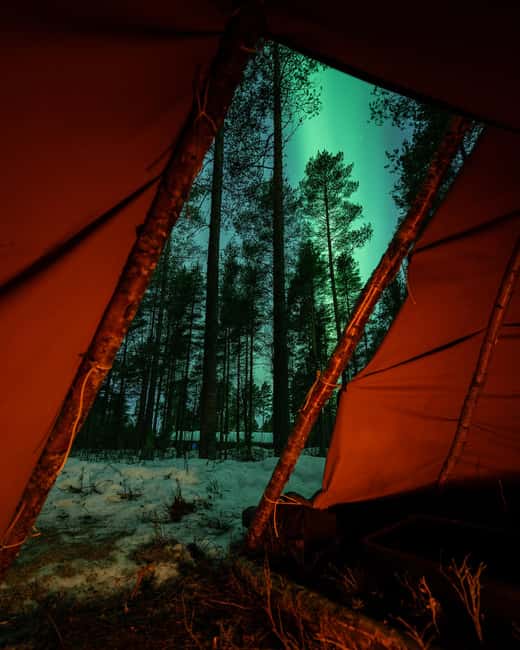 Luleå: Sami Culture, Reindeer, and Northern Lights Tour - First Camp Meeting Point and How to Time Your Evening