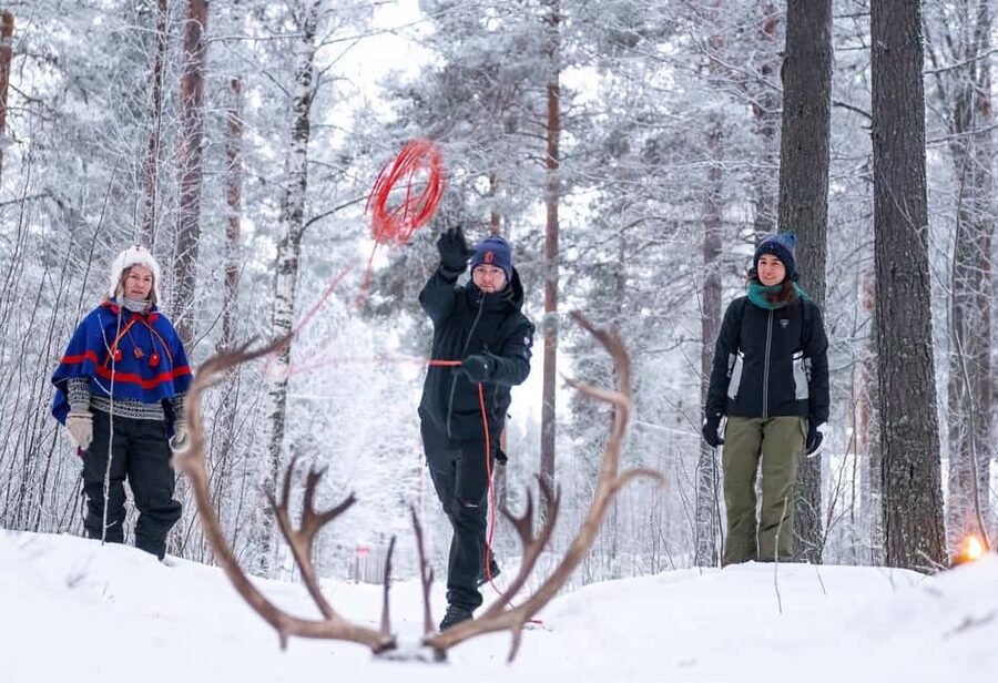 Luleå: Sami Culture & Reindeer Winter Experience - Hand-feeding lichen: the hands-on moment that makes it real