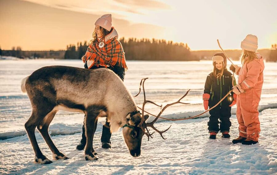 Luleå: Sami Culture & Reindeer Winter Experience - Meeting at First Camp, Arcusvägen 110, then straight to the reindeer