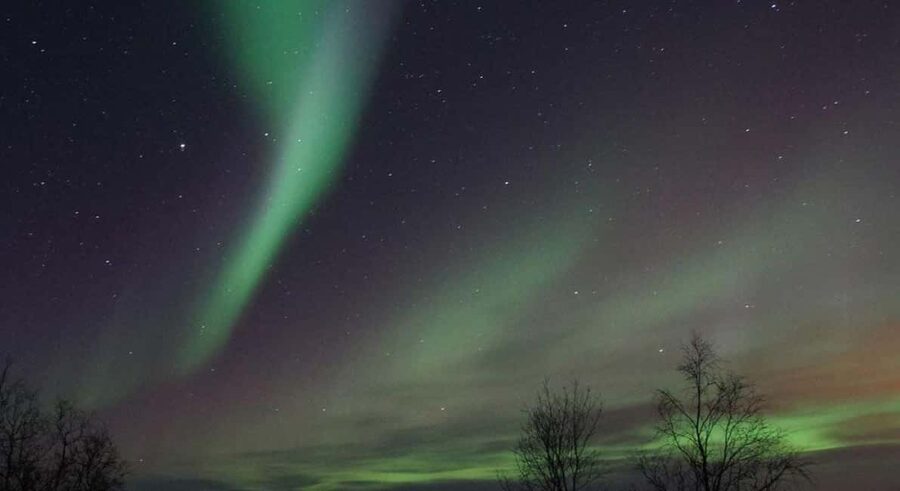Luleå: Snowmobile Adventures & Northern Lights Hunt - Key highlights to know before you go