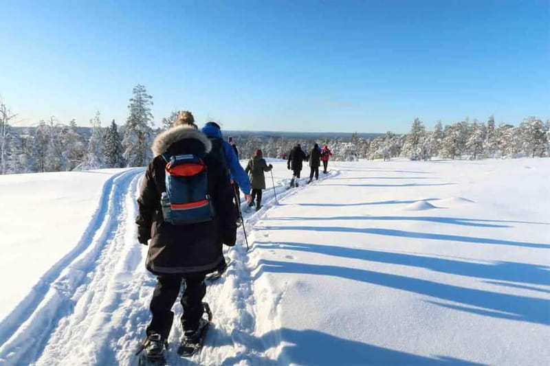 Luleå: snowshoeing in pristine nature with an expert guide! - From pickup to quiet forest: how the tour starts