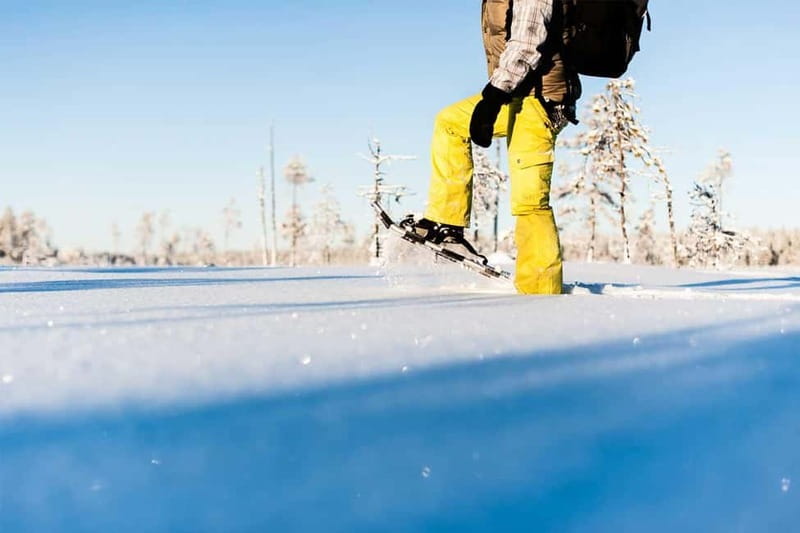 Luleå: snowshoeing in pristine nature with an expert guide! - Views near 140 meters: why the uphill feels worth it