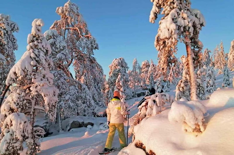 Luleå: snowshoeing in pristine nature with an expert guide! - Wildlife spotting tips that your guide will actually use