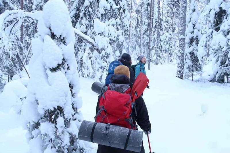 Luleå: snowshoeing in pristine nature with an expert guide! - Why the guides get so much credit in practice