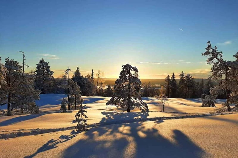 Luleå: snowshoeing in pristine nature with an expert guide! - Who this snowshoeing tour suits best