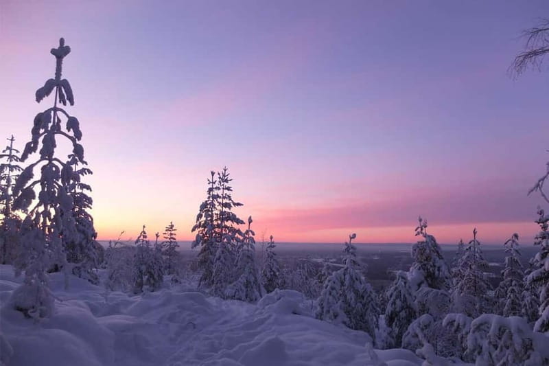 Luleå: snowshoeing in pristine nature with an expert guide! - Snowshoes made easy, with a short 3 km day