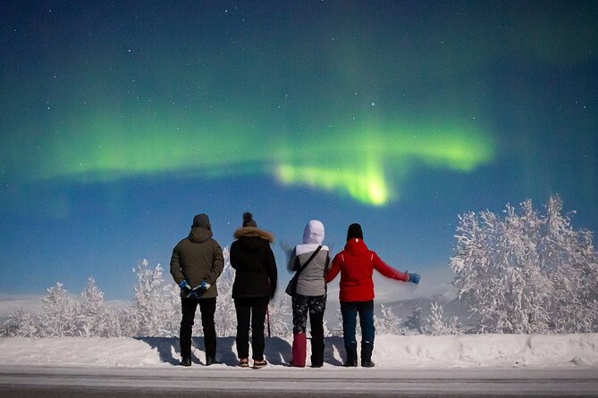 Magical Northern Lights Photography Tour Kiruna - Key Things That Make This Kiruna Tour Worth It