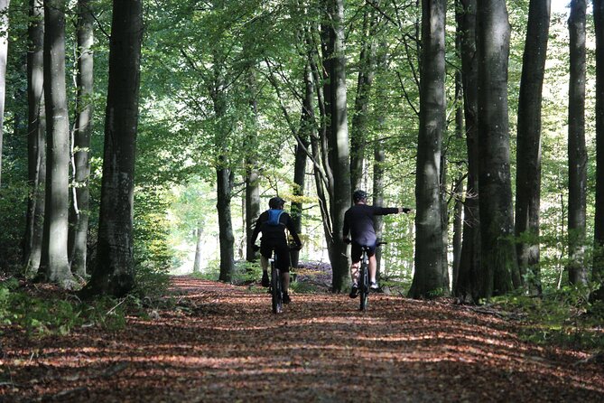 Malmo Bike Rental - Key takeaways before you book