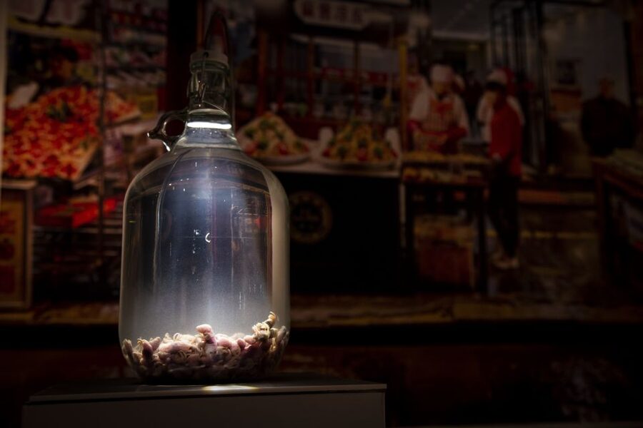 Malmö: Disgusting Food Museum Entrance Ticket - My practical tips for surviving the smell and having fun