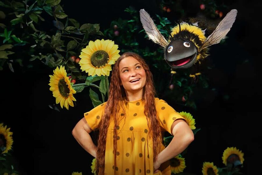 Malmö: Funnys Äventyr - Play Areas, Kids’ Theater & Carousel - Price and value: why $16 for a full day can make sense