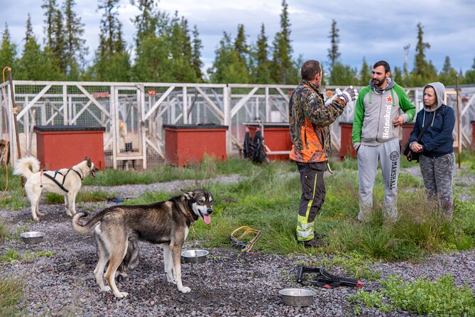 Meet 70 Huskies and Enjoy a short ATV Tour with the Huskies - Meet 70 Alaskan huskies, then learn their daily rhythm