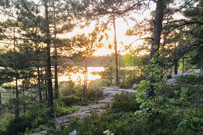 Midnight Sun and Campfire - National Park evening hike Stockholm - Meeting point, 6:30 pm start, and how the evening stays low-stress