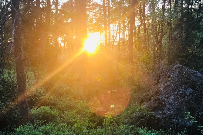 Midnight Sun and Campfire - National Park evening hike Stockholm - Campfire vegan or vegetarian dinner and Swedish fika: the food part that actually works