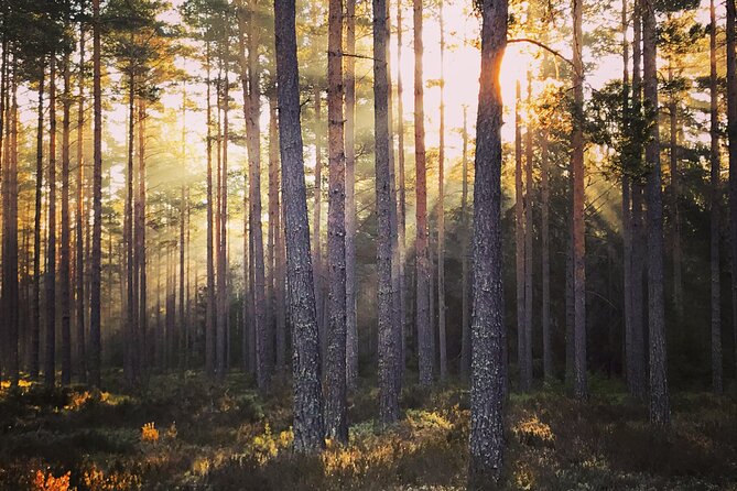 Midnight Sun and Campfire - National Park evening hike Stockholm - Weather and what to pack for a 4 to 5 hour evening outside
