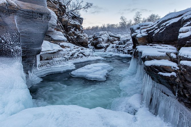 Morning hike in Abisko National Park - Price and Value: Is $91.71 Worth It?