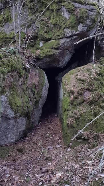 Nature Hike from Stockholm - Key points to know before you go