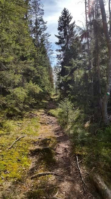 Nature Hike from Stockholm - Leaving the city fast: Urban Basecamp to the forest in 40 minutes