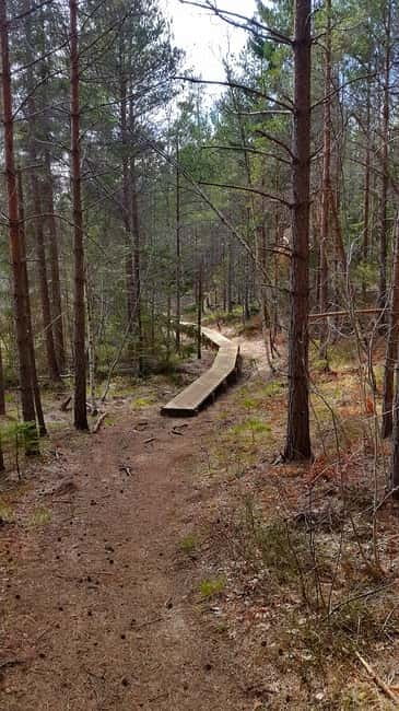 Nature Hike from Stockholm - What you get for $149: value in structure, not just walking