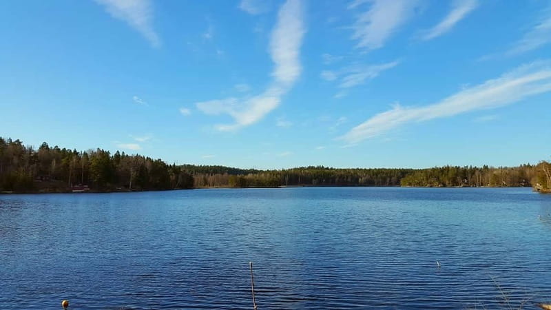 Nature Hike from Stockholm - Dense pine forest and lakeside coffee: the start that sets the tone