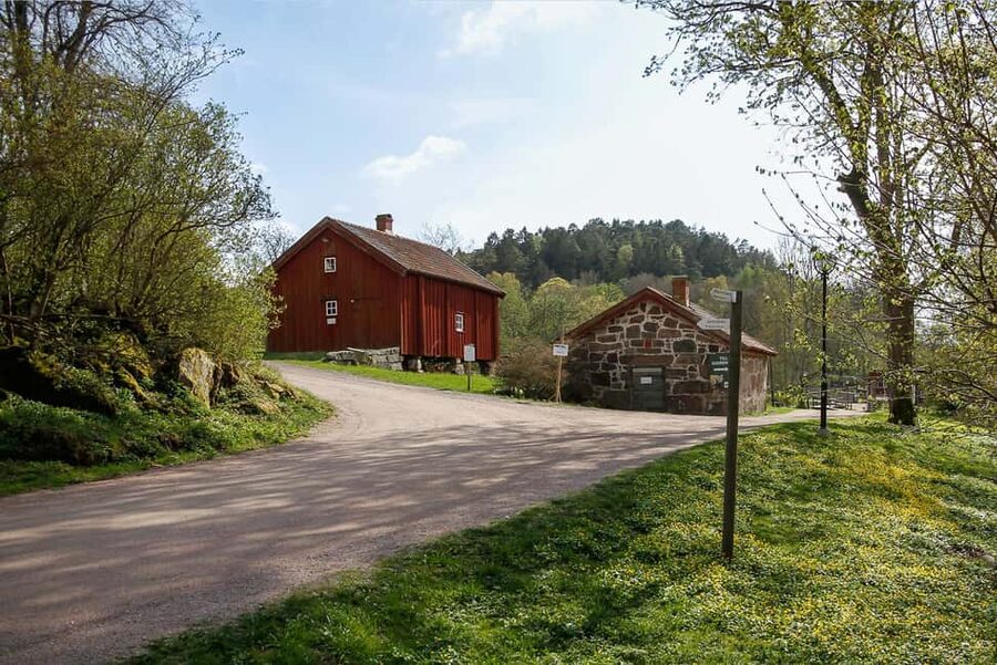 Nordens Ark Entry Ticket - Wildlife area: when patience pays off