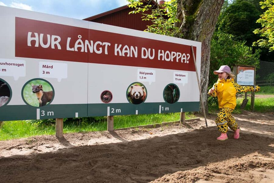 Nordens Ark Entry Ticket - Farm area and native breeds: slower, calmer viewing