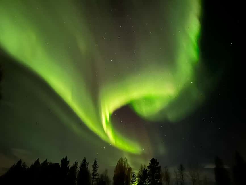 North, Dogs, Snowmobiles & Lights - Getting There: Pickup Options Around Luleå, Råneå, and Kalix